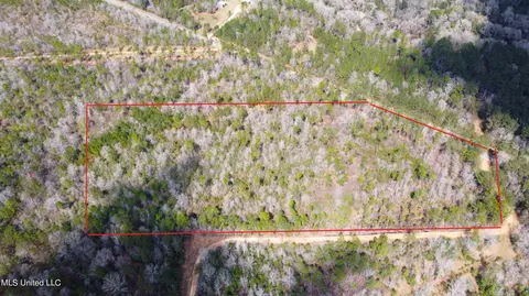tbd New Hope Rd, Wiggins, MS 39577 photo 2
