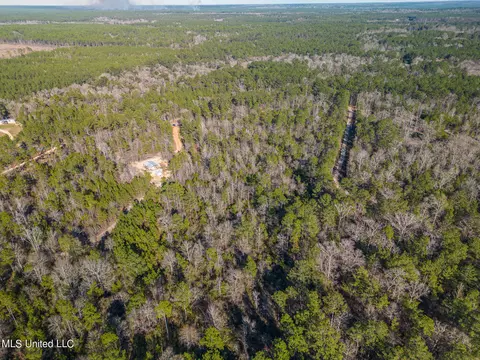 tbd New Hope Rd, Wiggins, MS 39577 photo 5