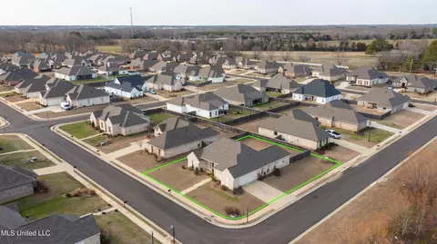View/Area - 445 Araglen Dr, Canton, MS 39046 photo 2 of 4