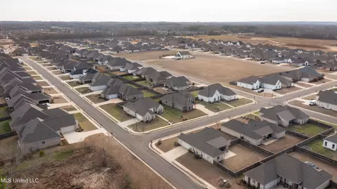 View/Area - 445 Araglen Dr, Canton, MS 39046 photo 3 of 4