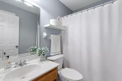 Bath - 9869 Chris Dr, Olive Branch, MS 38654 photo 4 of 4