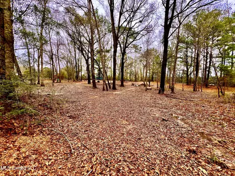 35 Flint Creek Rd, Wiggins, MS 39577