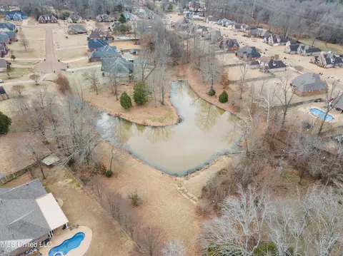 View/Area - 1708 Roberts Cv, Hernando, MS 38632 photo 3 of 3