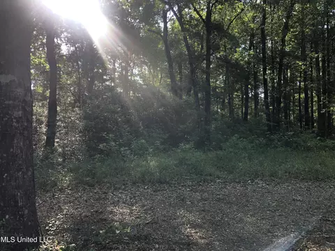 1701 Bertis Goff Rd, Moss Point, MS 39562 photo 2