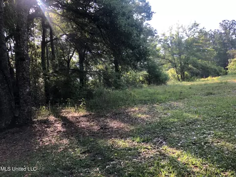 1701 Bertis Goff Rd, Moss Point, MS 39562 photo 3