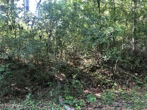 1701 Bertis Goff Rd, Moss Point, MS 39562 photo 11