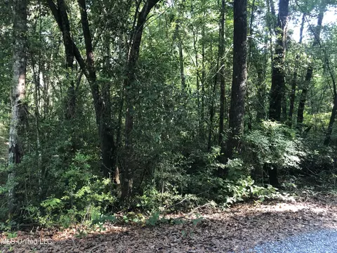 1701 Bertis Goff Rd, Moss Point, MS 39562 photo 8