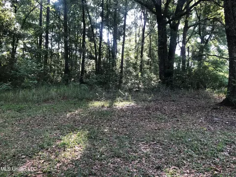 1701 Bertis Goff Rd, Moss Point, MS 39562 photo 7