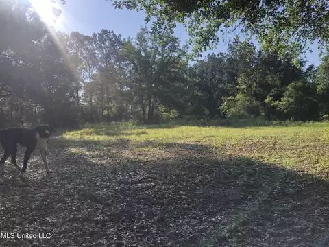 1701 Bertis Goff Rd, Moss Point, MS 39562