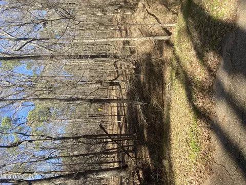 Windsor Lane, Raymond, MS 39154
