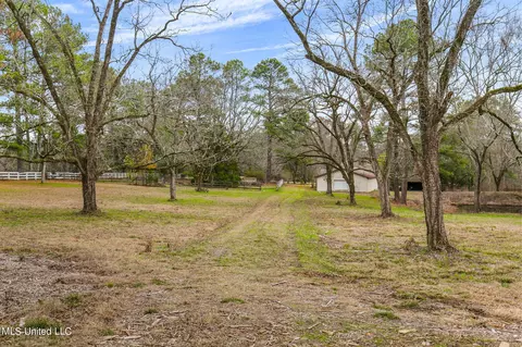 Exterior - 12449 Springridge Rd, Terry, MS 39170 photo 29 of 31