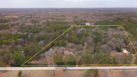 View/Area - 12449 Springridge Rd, Terry, MS 39170 photo 9 of 17