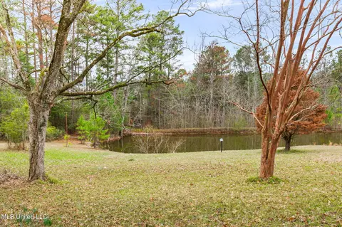 Exterior - 12449 Springridge Rd, Terry, MS 39170 photo 16 of 31
