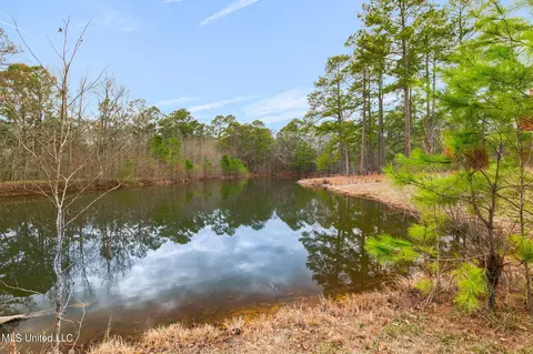 View/Area - 12449 Springridge Rd, Terry, MS 39170 photo 4 of 17