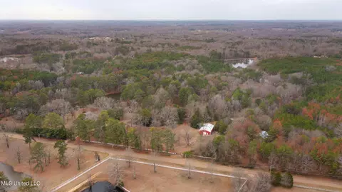 View/Area - 12449 Springridge Rd, Terry, MS 39170 photo 10 of 17
