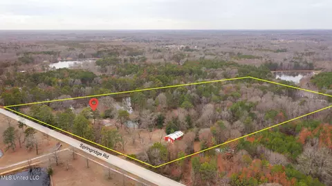 View/Area - 12449 Springridge Rd, Terry, MS 39170 photo 13 of 17