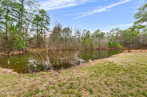 Exterior - 12449 Springridge Rd, Terry, MS 39170 photo 17 of 31