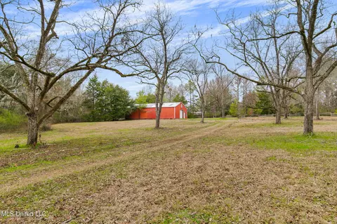 Exterior - 12449 Springridge Rd, Terry, MS 39170 photo 24 of 31