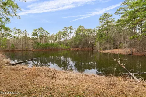 View/Area - 12449 Springridge Rd, Terry, MS 39170 photo 3 of 17