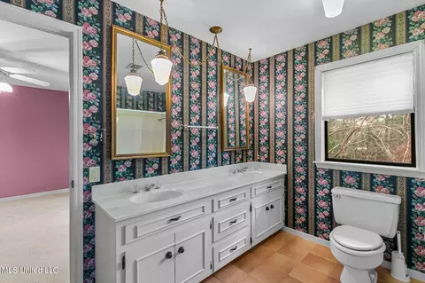 Bath - 12449 Springridge Rd, Terry, MS 39170 photo 4 of 5