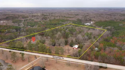 View/Area - 12449 Springridge Rd, Terry, MS 39170 photo 11 of 17
