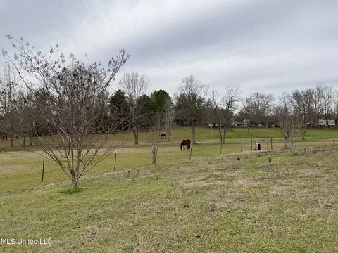 View/Area - 132 Sharon Rd, Canton, MS 39046 photo 1 of 1