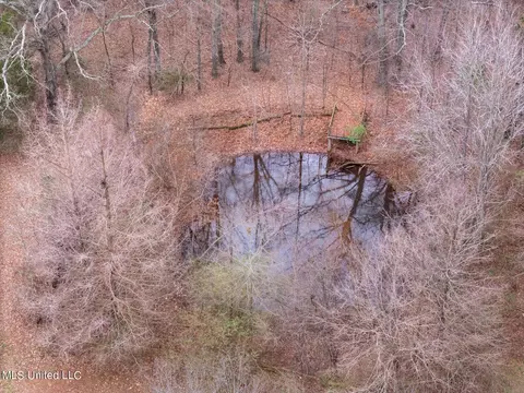 Other - 4753 Pleasant Hill Rd, Nesbit, MS 38651 photo 18 of 18