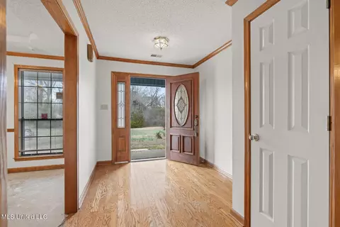 Entry Way - 4753 Pleasant Hill Rd, Nesbit, MS 38651 photo 1 of 3