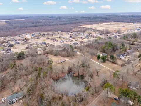 View/Area - 4753 Pleasant Hill Rd, Nesbit, MS 38651 photo 3 of 6