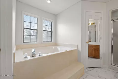 Bath - 4753 Pleasant Hill Rd, Nesbit, MS 38651 photo 2 of 4