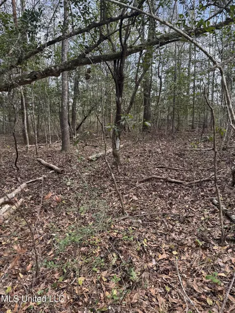 Burnis Havard Road, Perkinston, MS 39573