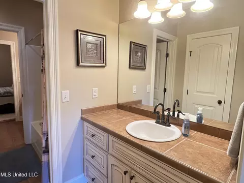 Bath - 300 Cedar Stone Ct, Florence, MS 39073 photo 1 of 10