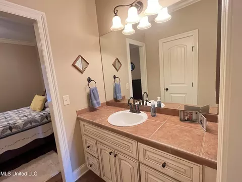 Bath - 300 Cedar Stone Ct, Florence, MS 39073 photo 2 of 10