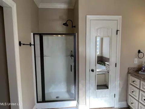 Bath - 300 Cedar Stone Ct, Florence, MS 39073 photo 7 of 10