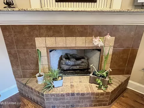 Exterior - 300 Cedar Stone Ct, Florence, MS 39073 photo 7 of 13