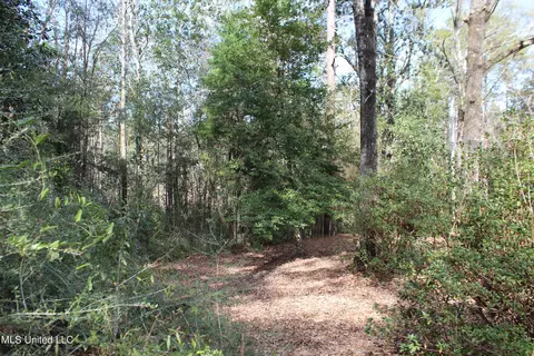 Exterior - 426 Lamar St, Lucedale, MS 39452 photo 5 of 7