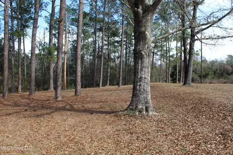 View/Area - 426 Lamar St, Lucedale, MS 39452 photo 3 of 10