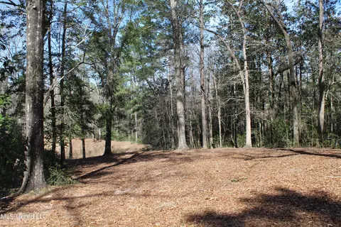 Exterior - 426 Lamar St, Lucedale, MS 39452 photo 7 of 7