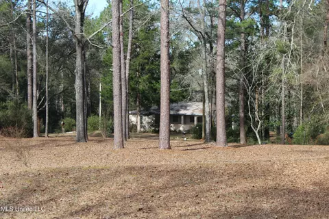 View/Area - 426 Lamar St, Lucedale, MS 39452 photo 1 of 10