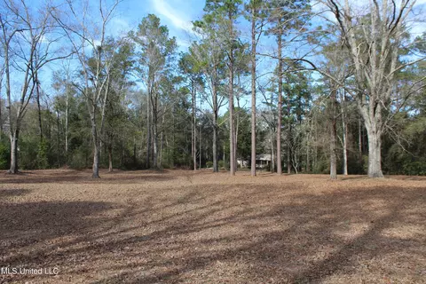 View/Area - 426 Lamar St, Lucedale, MS 39452 photo 2 of 10
