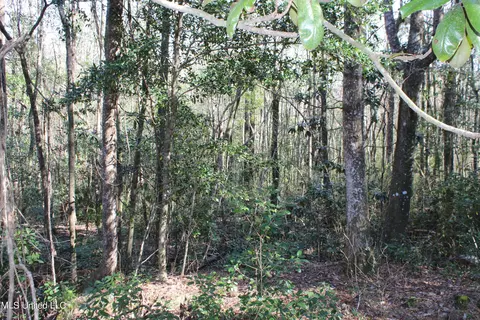 Other - 426 Lamar St, Lucedale, MS 39452 photo 7 of 7