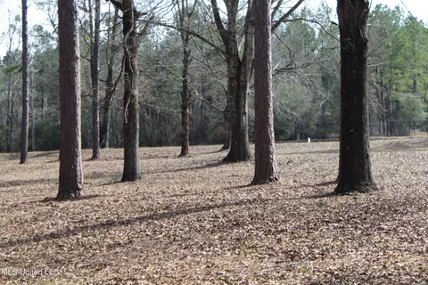 View/Area - 426 Lamar St, Lucedale, MS 39452 photo 6 of 10