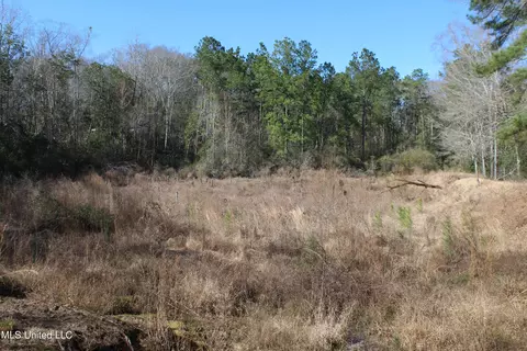 View/Area - 426 Lamar St, Lucedale, MS 39452 photo 8 of 10