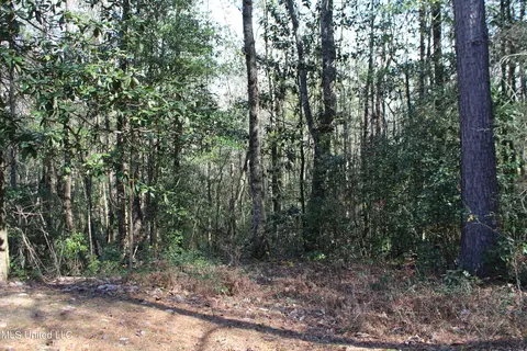 Other - 426 Lamar St, Lucedale, MS 39452 photo 6 of 7