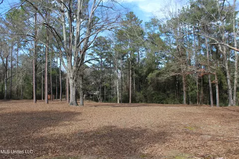 View/Area - 426 Lamar St, Lucedale, MS 39452 photo 4 of 10