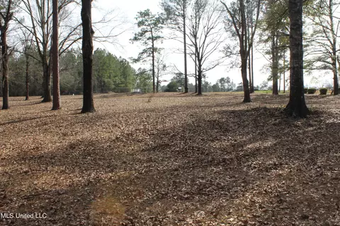 Exterior - 426 Lamar St, Lucedale, MS 39452 photo 4 of 7