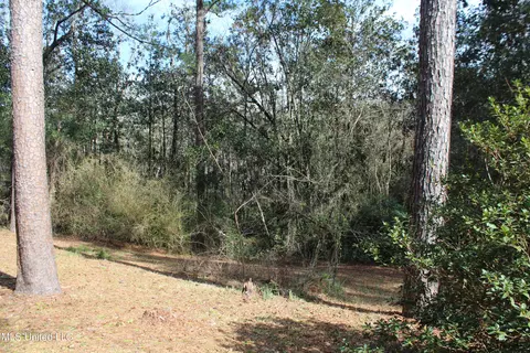 Exterior - 426 Lamar St, Lucedale, MS 39452 photo 6 of 7