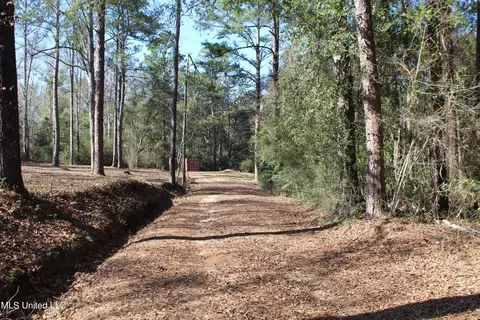 View/Area - 426 Lamar St, Lucedale, MS 39452 photo 10 of 10