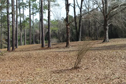 View/Area - 426 Lamar St, Lucedale, MS 39452 photo 5 of 10
