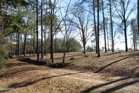 View/Area - 426 Lamar St, Lucedale, MS 39452 photo 9 of 10